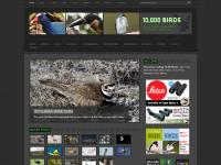 10000birds.com Daten 10000birds.com Daten
