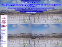 Free winemaking information for amateur winemakers: May your wines fall bright!