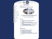 2020 Chartered Accountants London