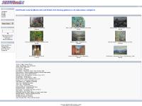 2020FineArt.com for Modern Art and British 20th Century pictures in oil, watercolour and prints