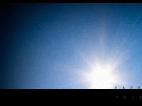 21st Knight - Surf Boards Surf Wear 21st Knight - Surf Boards Surf Wear