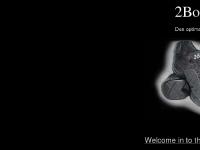 2bounce.se 2Bounce, 2bounce sneakers, dansskor