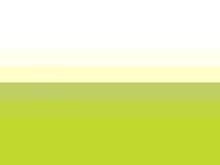 Adobe Flex, WYSIWYG editor, PIM, DAM  Adobe Flex, WYSIWYG editor, PIM, DAM