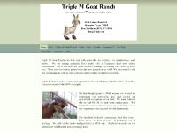 3-mgr.com Herd, Gallery of Triple M Herd, Bucks 3-mgr.com Herd, Gallery of Triple M Herd, Bucks