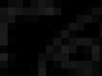 Schuh - 30 years of self expression Schuh - 30 years of self expression