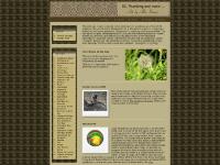  &nbsp;&nbsp;&nbsp;&nbsp;&nbsp;sitemap, Electric Sewage, Tutorials, Catalogue Maker