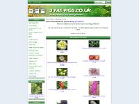 garden hedges | tree nurseries | hedging plants