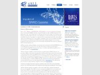 4 All International: News