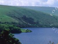 Fourwinds Holiday Homes - Escape to the country!