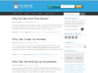 4yourcatshealth.com Why Do Cats Arch Their Backs?, Laurie Buckley, Cat Behavior