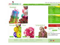 800blomster.no blomster, planter, buketter