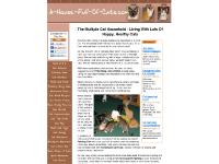 Cat Nutrition, Best Cat Food, Feeding Many Cats, Homemade Food  Cat Nutrition, Best Cat Food, Feeding Many Cats, Homemade Food