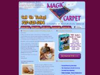 Carpet Cleaning, Restoration Services - St Petersburg, Tampa Bay, Pinellas County