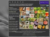 a-p-h-o-t-o.com aphoto, a photo, a-p-h-o-t-o a-p-h-o-t-o.com aphoto, a photo, a-p-h-o-t-o
