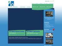 A10 Solutions, Inc. (A10)
