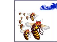 A1 Pestcontrol Telford A1 Pestcontrol Telford