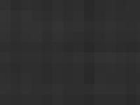 The Scoot Skate and Bike Co.