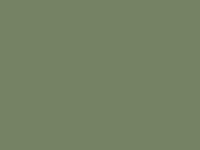 A 251 A 251