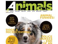 a4animals.co.uk Health, Features, Tributes a4animals.co.uk Health, Features, Tributes