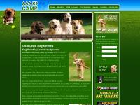 AAA Pet Motel Gold Coast Dog Boarding Kennels Mudgeeraba