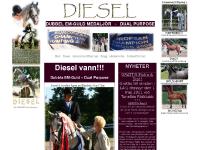 Diesel @ Aagren Arabians