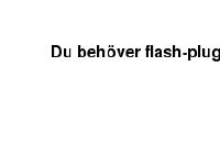 Alexandra och Ana´s insamlingsfond för fadderbarnen i Brasilien