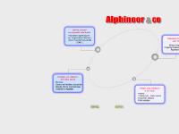 ALPHINOOR & CO ALPHINOOR & CO