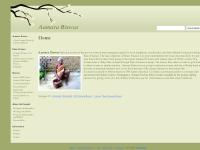 aamarabiswas.org Aamara Biswas, Concept, Purpose aamarabiswas.org Aamara Biswas, Concept, Purpose