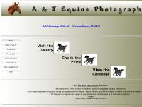 Welcome to A & J Equine Photography Welcome to A & J Equine Photography