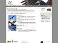 A & M Hawk UK | Hawk flying and pigeon control in London and South East England A & M Hawk UK | Hawk flying and pigeon control in London and South East England