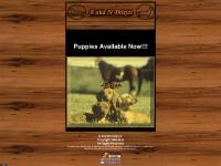 aandndoxies.com Web-RN Services™