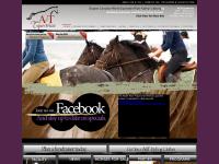 aandtequestrian  aandtequestrian