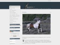 Welcome to the official website of the AANHCP Welcome to the official website of the AANHCP