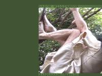 Aaron Williamson Aaron Williamson