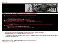 Anand Bhatt, ABA-NET: Site Root