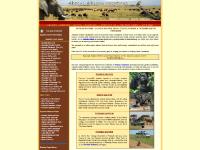 TANZANIA, TOUR DETAILS, African Vacations, UGANDA SAFARIS TANZANIA, TOUR DETAILS, African Vacations, UGANDA SAFARIS