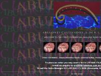 First Abalone Farm in Mexico