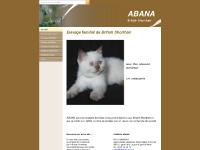 abana-cat.com Accueil, Qui sommes-nous ?, Pourquoi ABANA? abana-cat.com Accueil, Qui sommes-nous ?, Pourquoi ABANA?