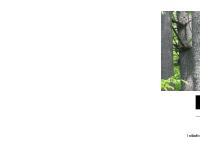 National Orphaned/Abandoned Mines Initiative (NOAMI)/Initiative nationale pour les mines orphelines ou abandonnées (INMOA) National Orphaned/Abandoned Mines Initiative (NOAMI)/Initiative nationale pour les mines orphelines ou abandonnées (INMOA)