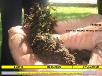 ACTUALIDAD ACTUALIDAD