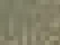 statistik för abatons - Abaton´s Hamstrar och Basenji-hund. statistik för abatons - Abaton´s Hamstrar och Basenji-hund.