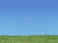 Abattoir Direct Abattoir Direct