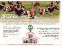 abattoirs-hallal  abattoirs-hallal