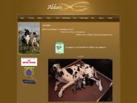 abbaio.net DUITS, DUITSE, DEENS abbaio.net DUITS, DUITSE, DEENS