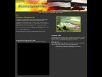 om abbeyspeedway.com - abbeyspeedway om abbeyspeedway.com - abbeyspeedway