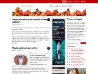 liten abc-maigrir.fr skärmbild liten abc-maigrir.fr skärmbild