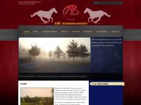 ABC Horsemanship ABC Horsemanship