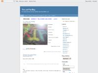 The Lost Fan Blog The Lost Fan Blog