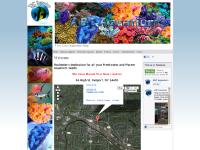 ABC Aquarium ABC Aquarium