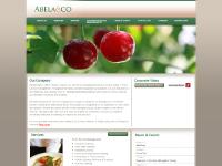 abelaandco.com Vision, Mission & Values, Management Team abelaandco.com Vision, Mission & Values, Management Team